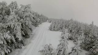 20170114 1
