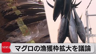 クロマグロ漁獲枠拡大を国際会議で議論（2021年7月27日）