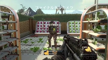 COD BO2 カウントダウングリッチ