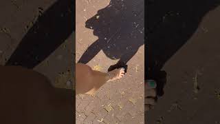 IMG 0285