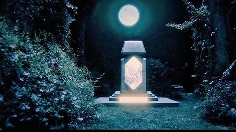 August Kamp - Worldweight Official Music Video