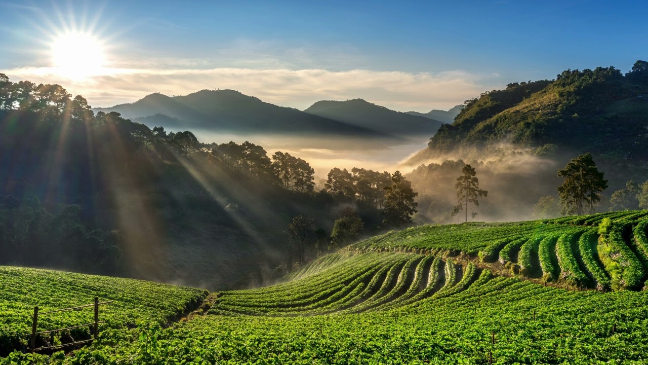 DE ONDE VEM NOSSOS RECURSOS? - Por Marcia Marzano