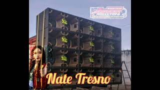 Download Lagu DJ Nate Tresno, Bass Horeg ,Team Music PRODUCTIONS MP3