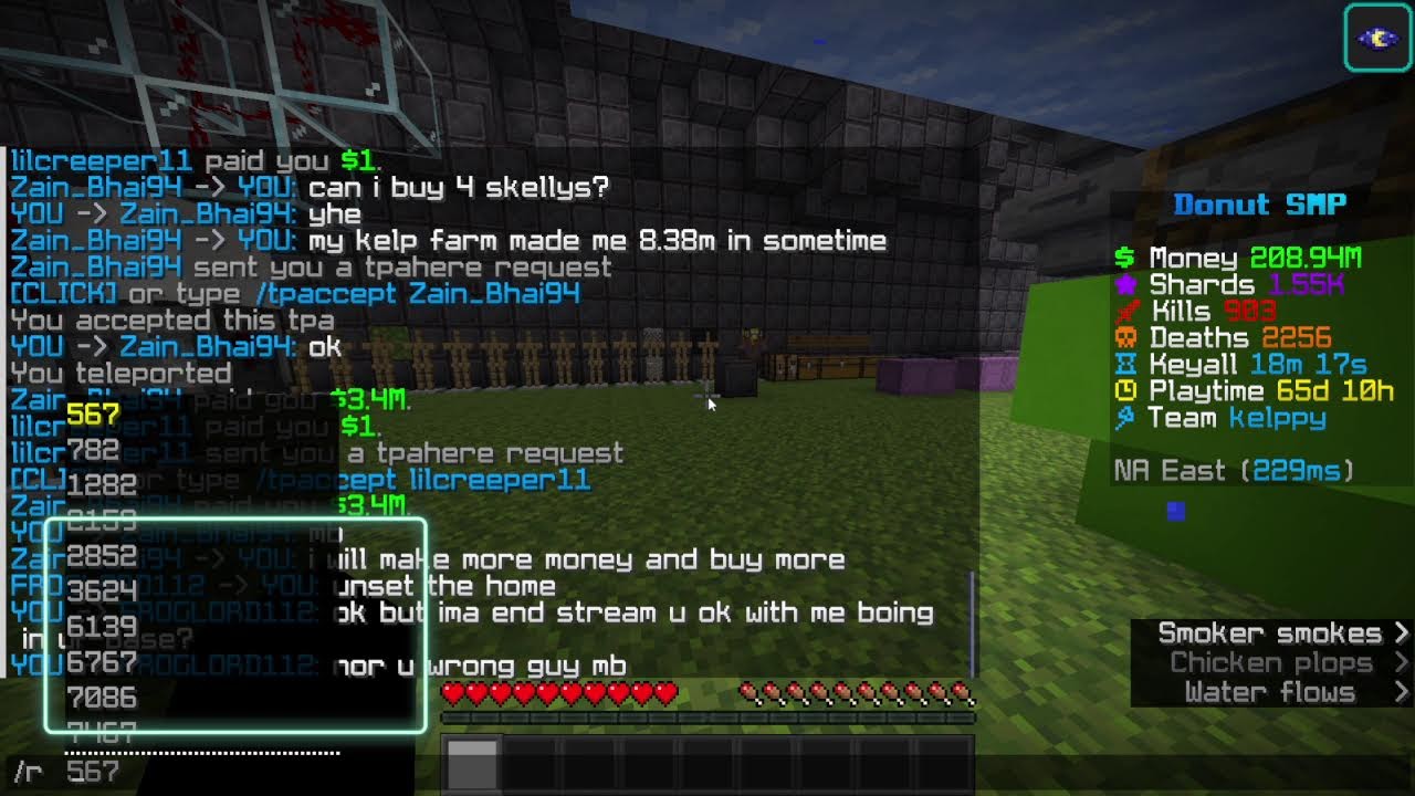 donut smp live 2m per base ign is popdiddly - YouTube