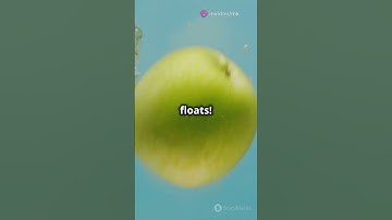 Why Do Apples Float  🍎 The Science Explained!#facts #science #food #apple#shorts#youtubeshorts