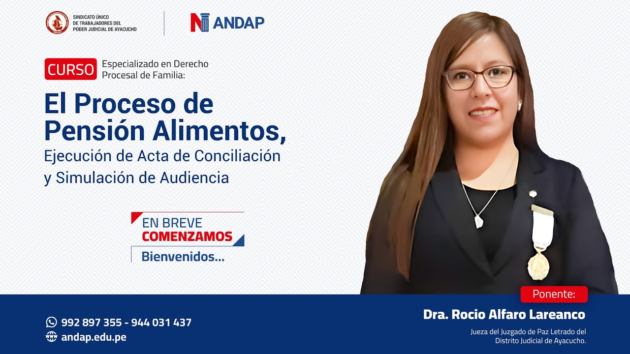 EJECUCIÓN DE ACTAS DE CONCILIACIÓN Y LIQUIDACIÓN DE PENSIONES DEVENGADAS II