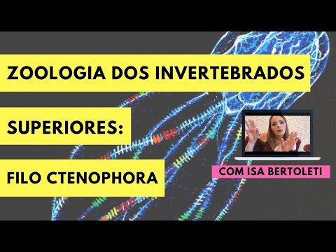 Vídeo: Quais das seguintes características são exclusivas de uma ctenophora?