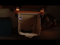 Solvej Baby Toddler Swing Conversion Stop Motion
