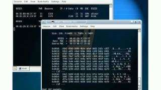 Wireless LAN Attack & Penetration