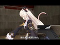 【2018/08/16】不満を溜めた猫の戦闘練習【のらきゃっと】