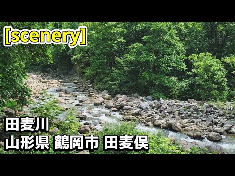【川の音景色】田麦川,山形県鶴岡市田麦俣【庄内の風景065】