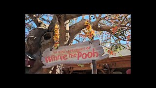 The Many Adventures of Winnie the Pooh Full Ride Queue | Disneys Magic Kingdom | Walt Disney World