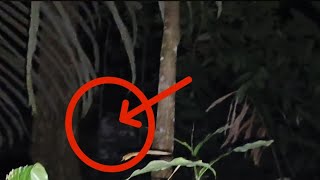 Live Misteri‼️MALAM KE 4 MAKIN BANYAK ANOMALI DI KM 285‼️