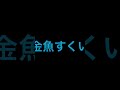 金魚すくい...藤田麻衣子