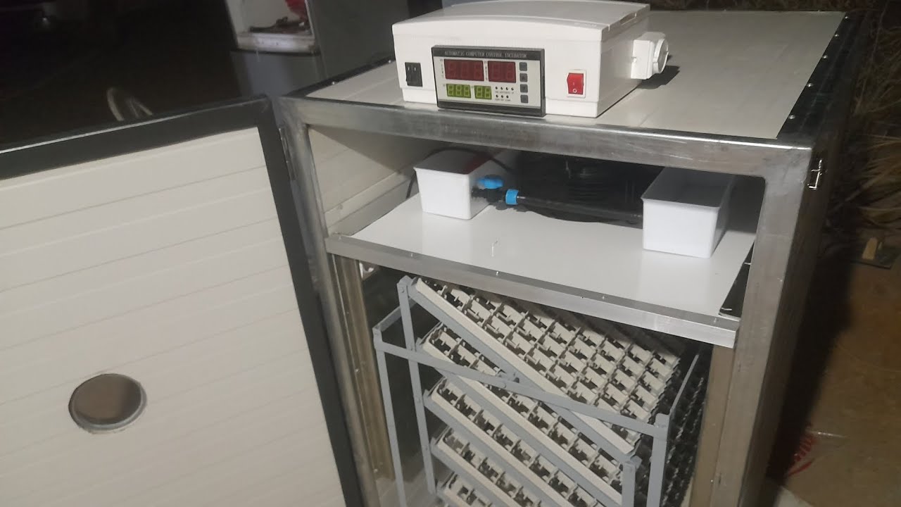 فقاسة بالنظام الألماني 800بيضة(تاوريرت)/كيف أتعامل مع الفقاسة من البداية إلى النهاية/0642274414