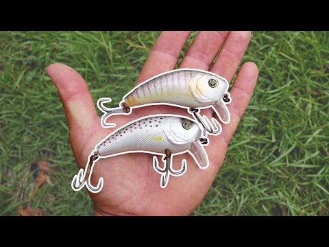 Topwater WAKE BAITS for Redfish & Speckled Trout (Best Topwater Lure for  Saltwater Inshore Fishing) 