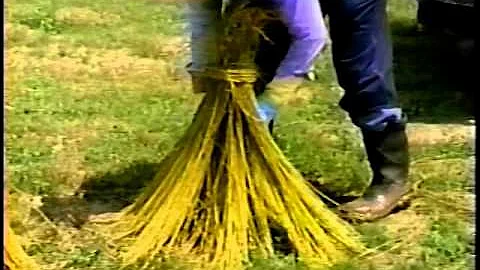 From a Field of Flax  VTS 01 part 1 of 2