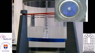 the Real Sonic Screwdriver