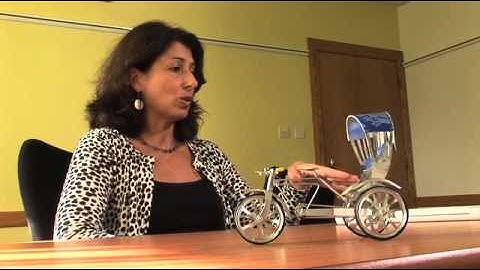 Racial segregation and mobility - Mimi Sheller