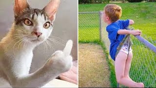 Best Funny Animal Videos 2022 😂😺 - Funniest Dogs And Cats Videos 😇