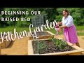 Beginning our raised bed kitchen garden sowing seeds and planting sprouts as a beginner gardener