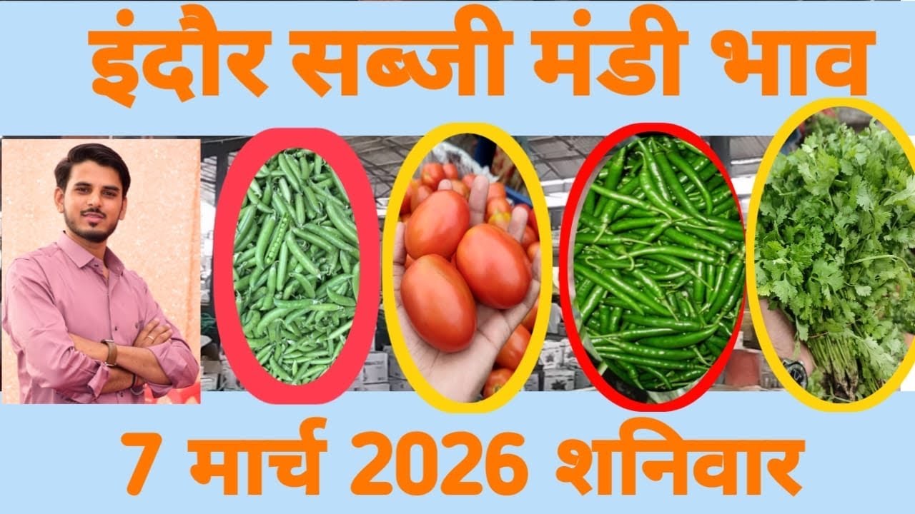 सब्जी मंडी इंदौर 🫑🍅🥔🧄// mp mandi bhav // #sabjimarketreactions 