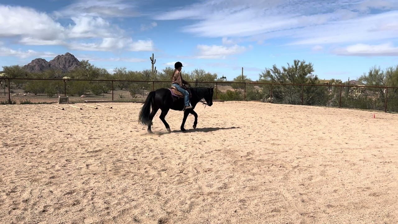 Class #120- February WJ Ranch Horsemanship-RCR Harley/Nicole Olmedo