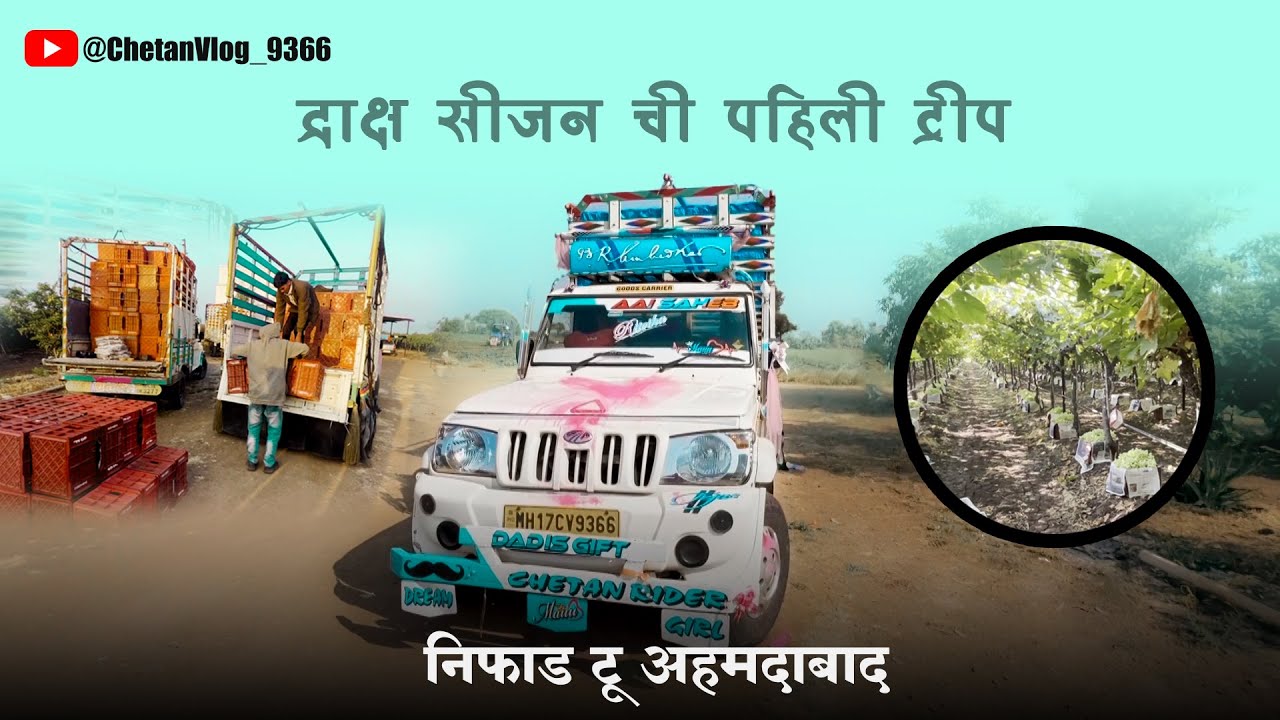 द्राक्ष सीजन ची पहिली ट्रीप | निफाड टू अहमदाबाद | 