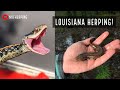 Winter Snake and Salamander Hunting in Louisiana! Waterdog, Rattlesnake, and More!