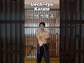 🐉Uechi ryu Karate training🔥 | #okinawakarate #上地流空手 #martialarts