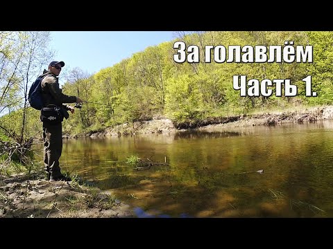 #Голавлемания Голавлиная охота Часть1.  Ловля голавля на спиннинг на верхнем Псле