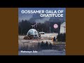 Gossamer gala of gratitude