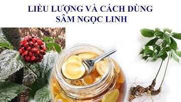 LIỀU LƯỢNG VÀ CÁCH DÙNG SÂM NGỌC LINH