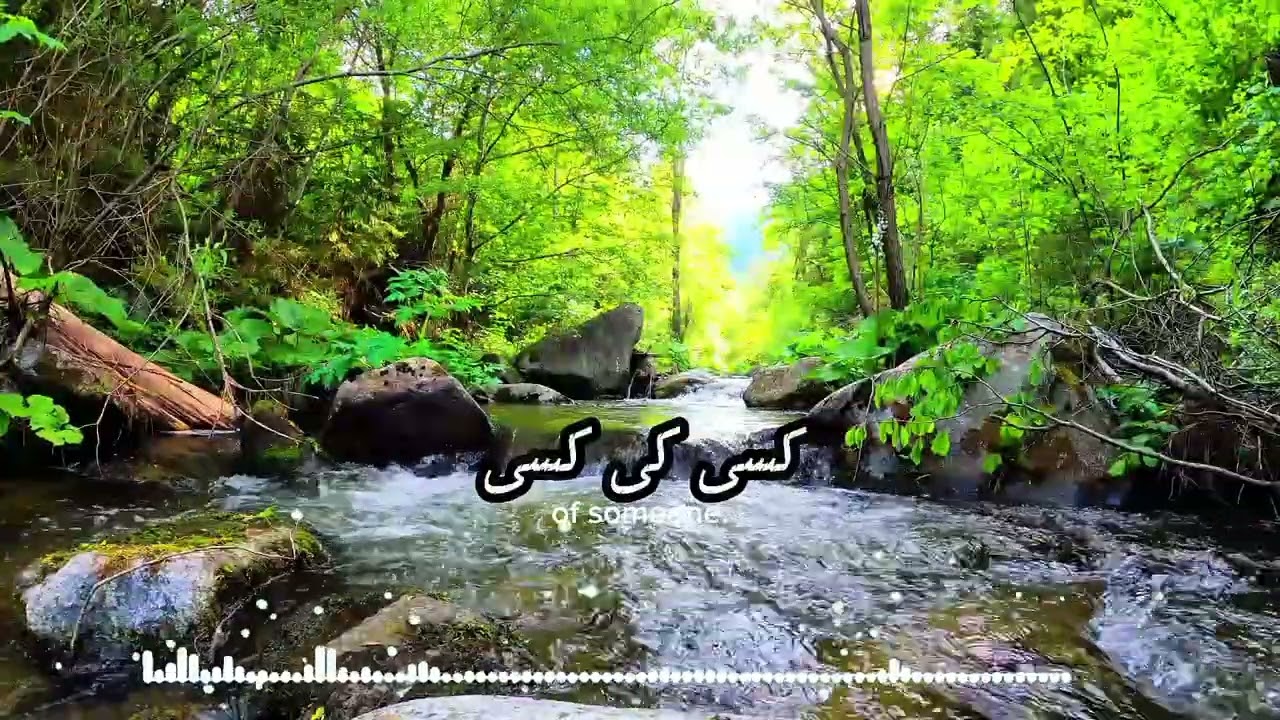 سب کو سب کچھ نہیں مل سکتا — زندگی کی بڑی حقیقت Amanahway