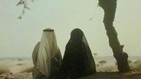 تلاوة هادئة تُطمئن القلوب من سورة القصص | أحمد بن طالب 