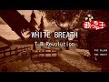 【カラオケ】WHITE BREATH / T.M.Revolution