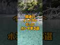 【カーライフニュース】爆速のインパクトだったホンダ車３選（ショート動画）#shorts #車好き #車 #ひき肉 #ホンダ #ホンダz #ジェイド #煽り運転 #湾岸ミッドナイト #スポーツカー