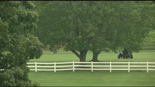 Staying safe during thunderstorms Wealth
