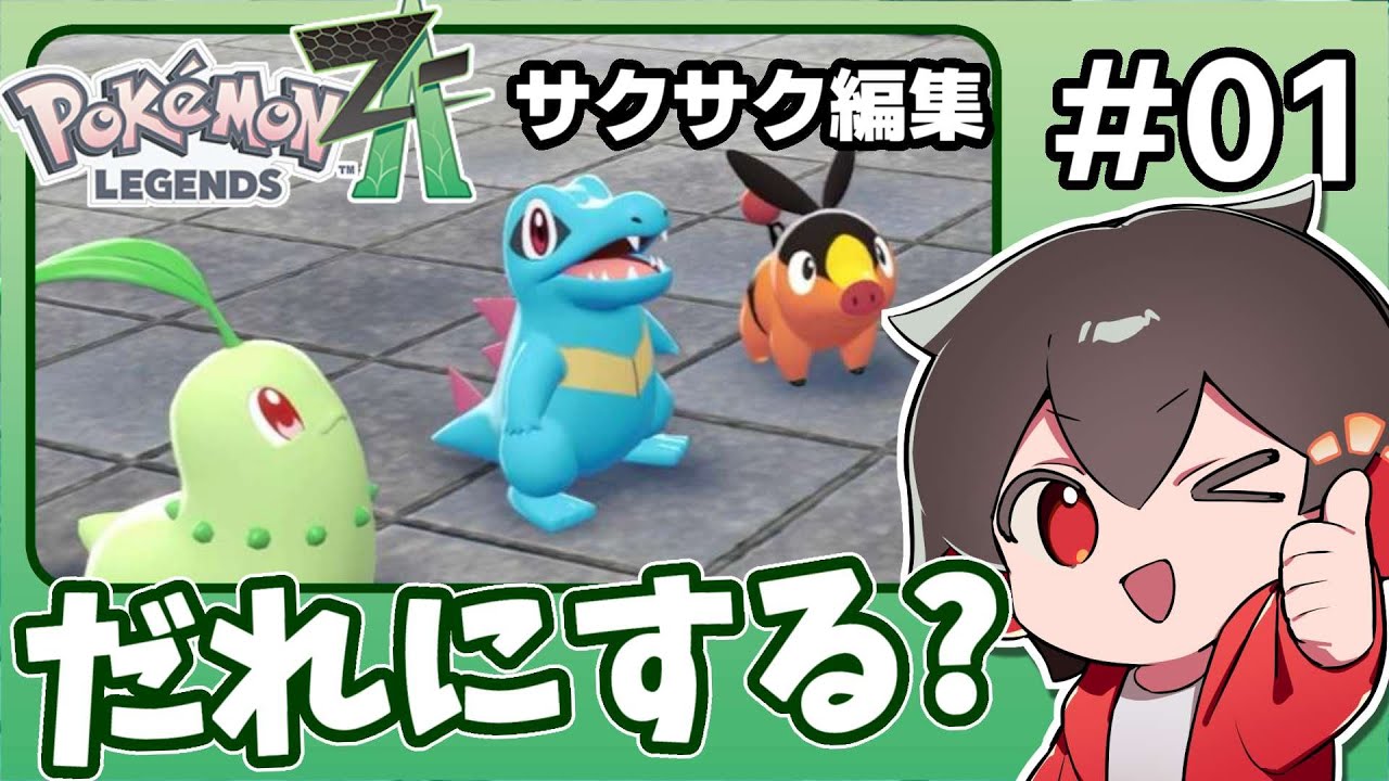 The latest Pokemon game! The action-packed battles are so much fun