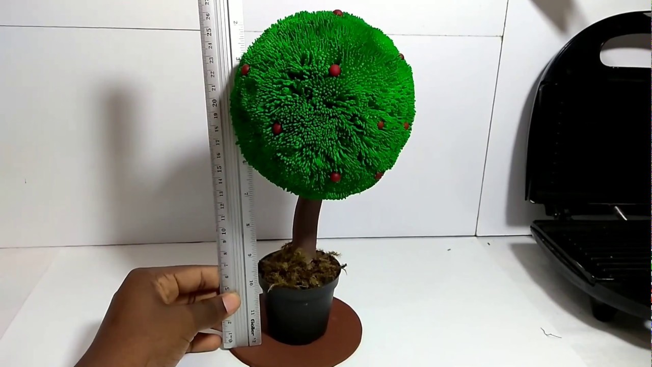 Árvore em Eva sem Frisadores