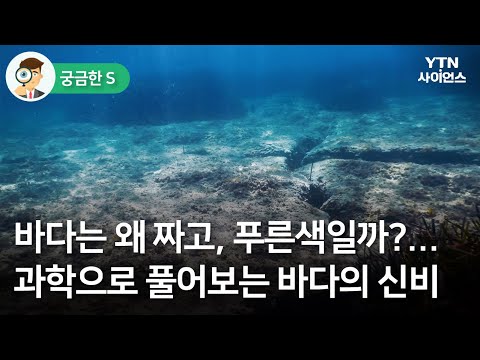 [궁금한S] 바다는 왜 짜고, 푸른색일까?…과학으로 풀어보는 바다의 신비 / YTN 사이언스