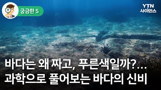 [궁금한S] 바다는 왜 짜고, 푸른색일까?…과학으로 풀어보는 바다의 신비 / YTN 사이언스