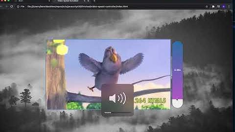 Video Speed Controller