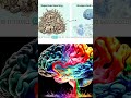 PredNetShort1 #ai #aigenerated #howtoai #predictiveai #aifuture #llm #research
