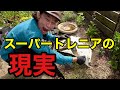 【こうなる】スーパートレニアのバークチップ&不織布を使った冬越し。【園芸超人カーメン君】