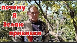 Почему и зачем я делаю прививки.
