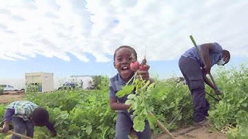 Phoenix farm helping fight food deserts in the Valley