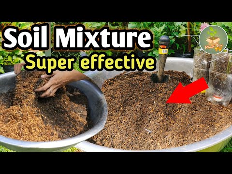 Video: Pinakamahusay na Potting Soil Para sa mga Houseplant - DIY Potting Mix Para sa Indoor Plants