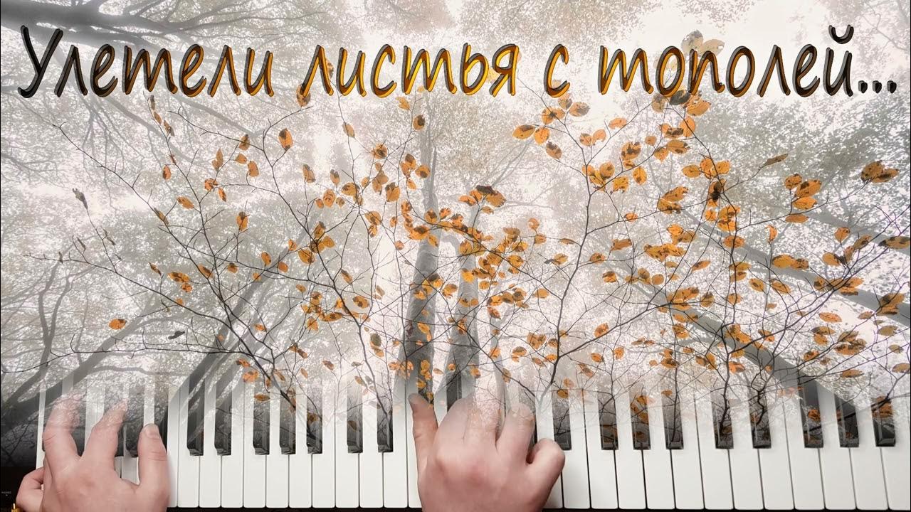 Улетели листья с тополей стихи. Улетели листья текст. Улетела листья с тополей дочерью улетели. Улетела листья с тополей дочерью улетели. Улетела листья с тополей дочерью улетели.