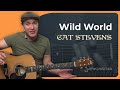 Wild World by Cat Stevens (Guitar Lesson BS-994) How to play